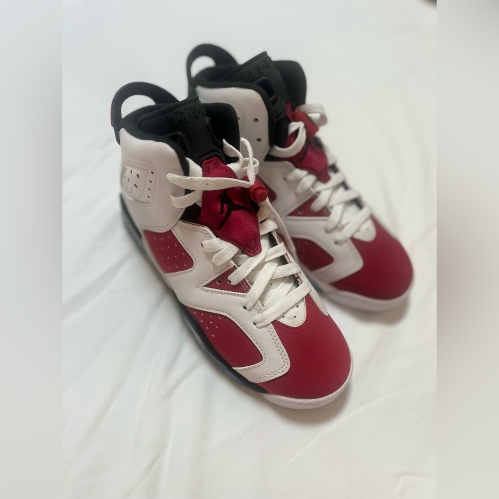 NWT Jordan 6 Retro Carmine